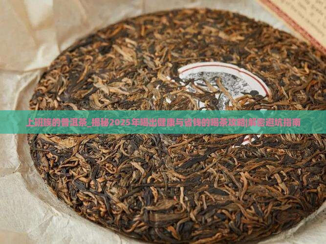 上班族的普洱茶