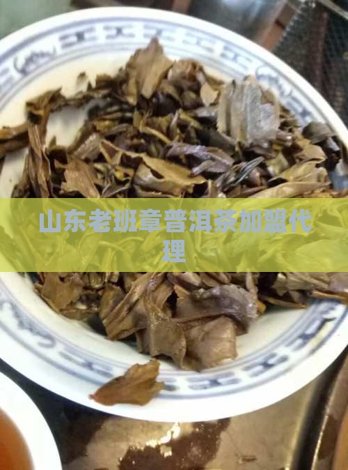 山东老班章厂家代理