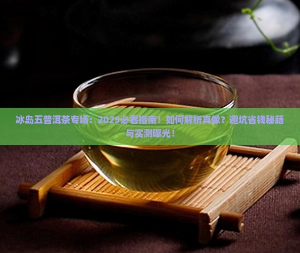冰岛五普洱茶专场