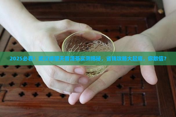 武汉德望天普洱茶