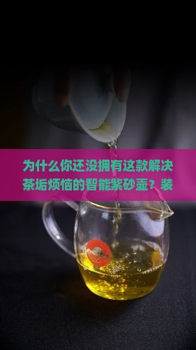 装普洱茶的紫砂壶