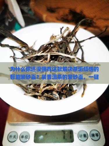 装普洱茶的紫砂壶