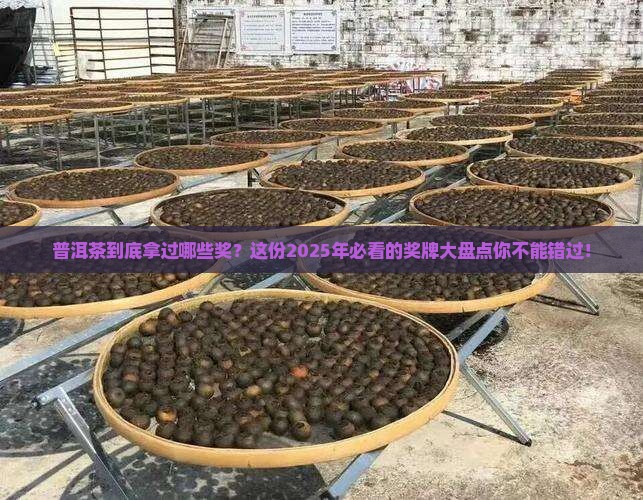 普洱茶拿过什么奖