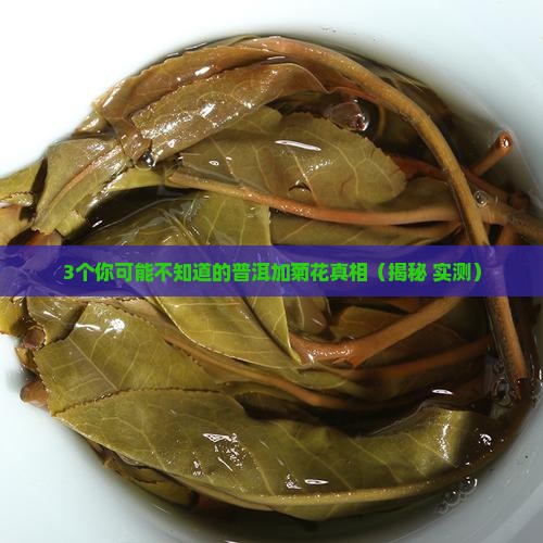 普洱能加菊花吗