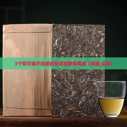 普洱能加菊花吗