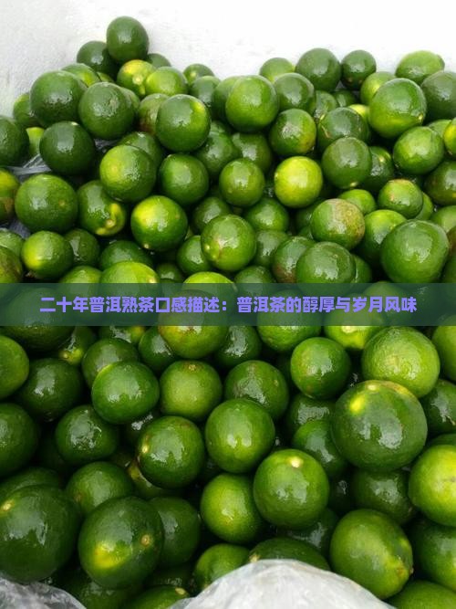 二十年普洱熟茶口感描述