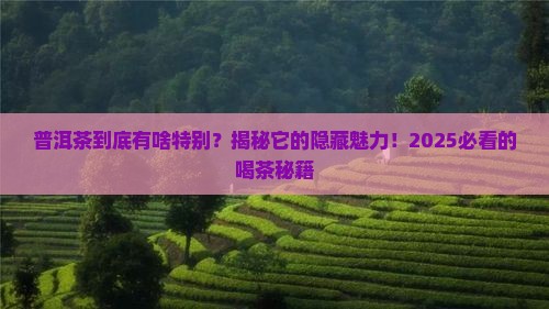 普洱茶的特性有什麽 普洱茶的特性有什麽