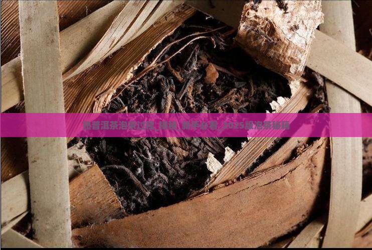 熟普洱茶泡茶过程