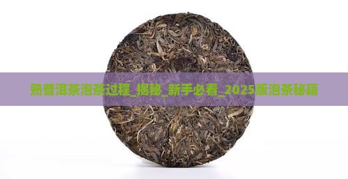熟普洱茶泡茶过程