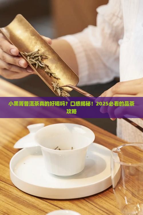 小黑箐普洱茶口感