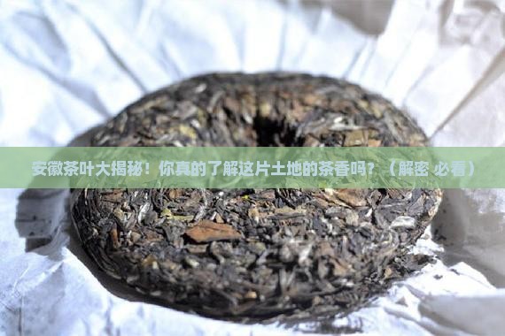 安徽主要产什么茶叶