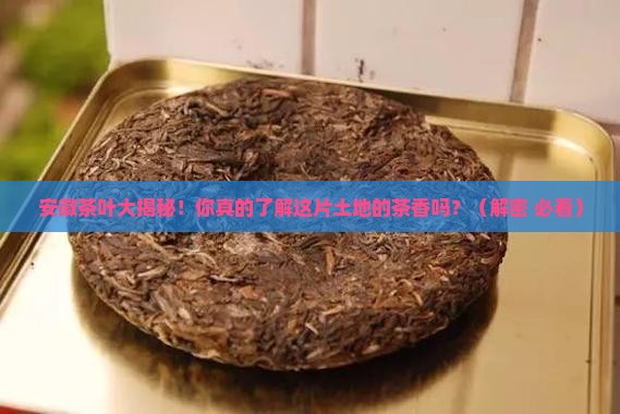 安徽主要产什么茶叶