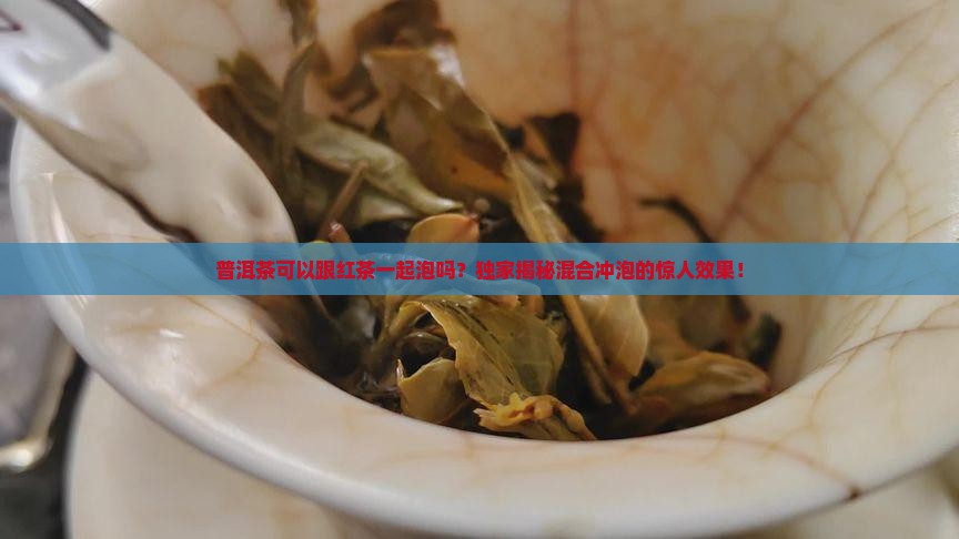 普洱茶可以跟红茶一起泡吗