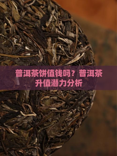 云南普洱茶饼会升值吗
