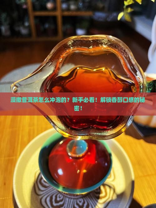漫撒普洱茶怎么冲泡的