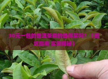 家国天下普洱茶多少钱一包