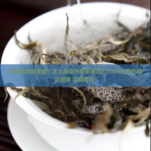 怎么选茶叶明前明后