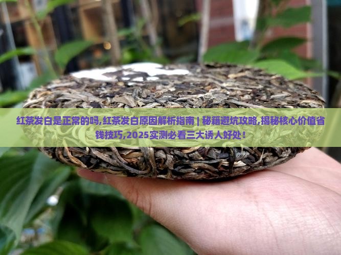 红茶发白是正常的吗