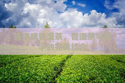 喜字牌普洱茶怎么样