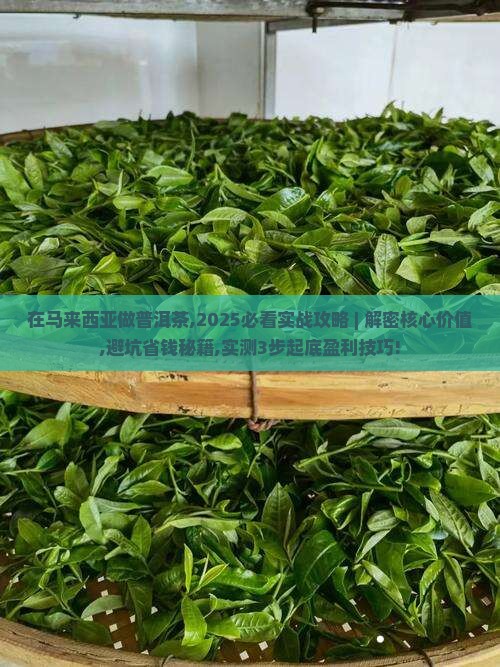 在马来西亚做普洱茶