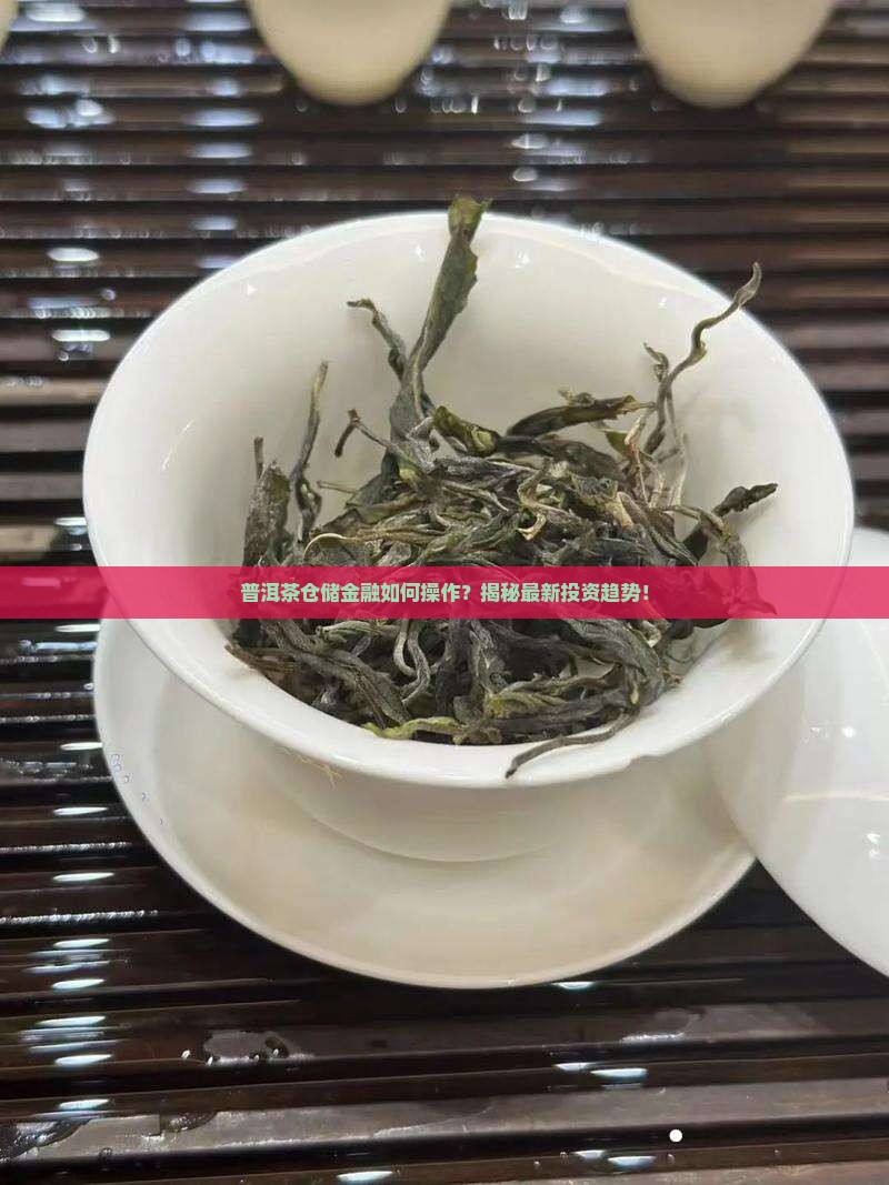普洱茶仓储金融