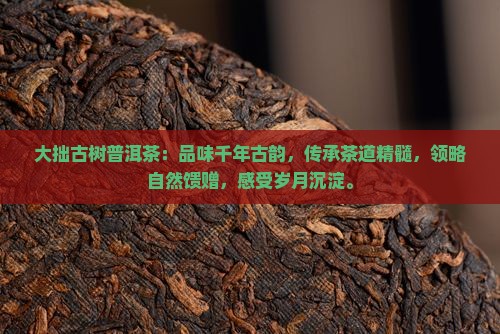 大拙古树普洱茶