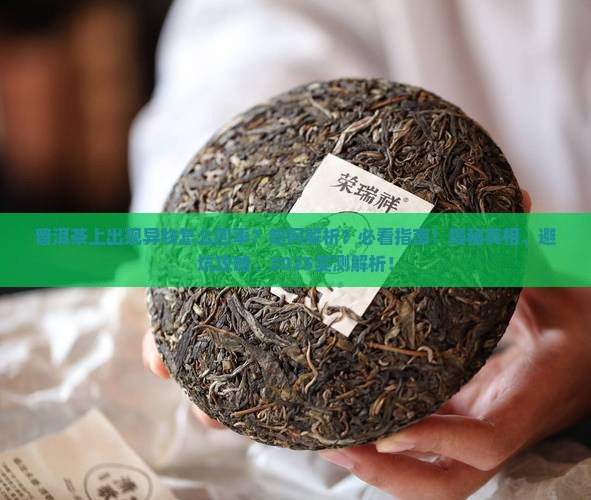 普洱茶上出现异物