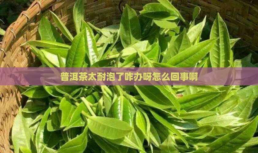普洱茶太耐泡了咋办呀怎么回事