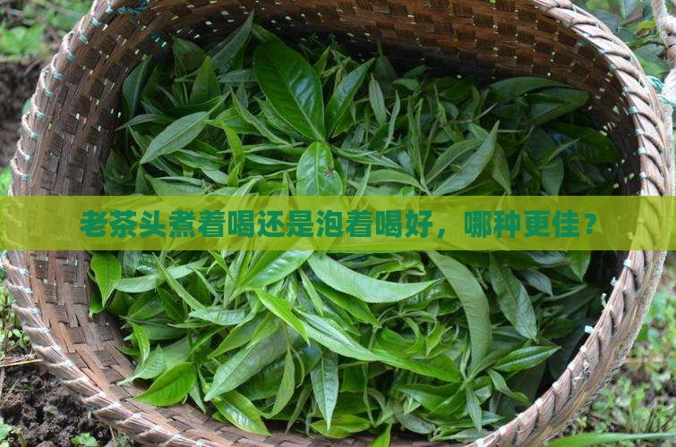 老茶头煮着喝还是泡着喝好