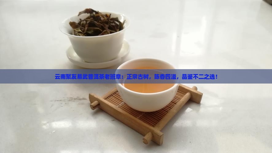 云南聚友易武普洱茶老班章
