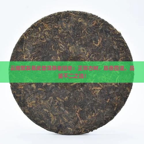 云南聚友易武普洱茶老班章