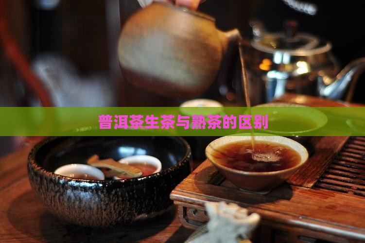 普洱茶生茶与熟茶如何区分