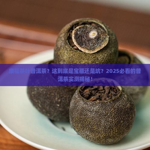 康福茶叶普洱茶