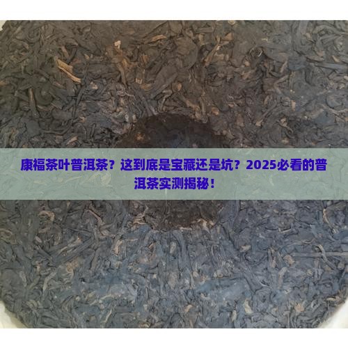 康福茶叶普洱茶