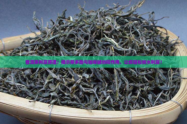 普洱茶利尿原理