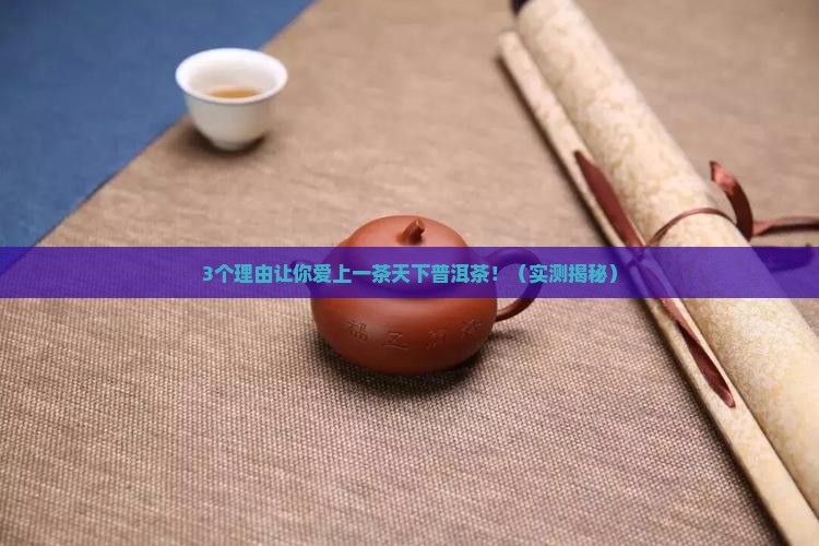 一茶天下普洱茶