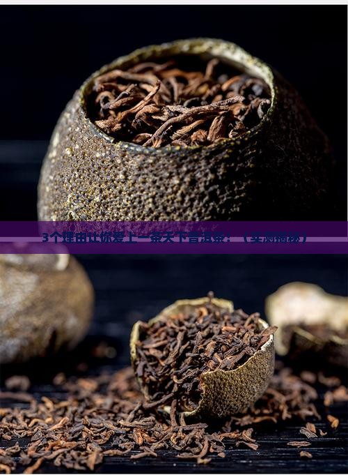 一茶天下普洱茶