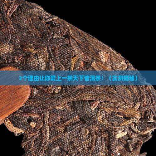 一茶天下普洱茶