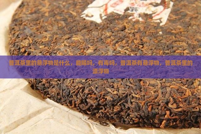 普洱茶里的悬浮物