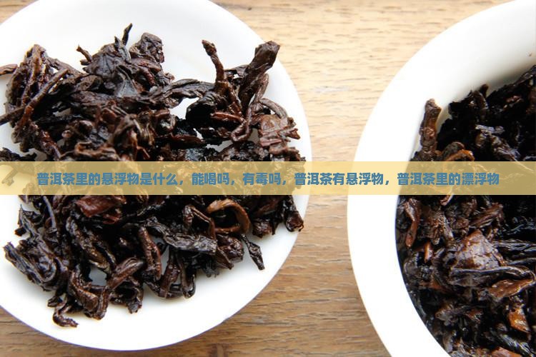 普洱茶里的悬浮物