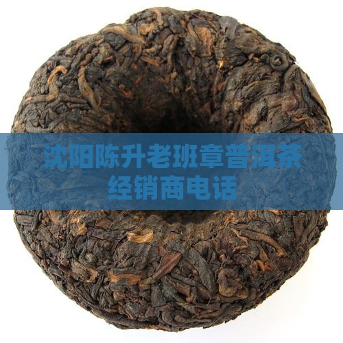 沈阳老班章经销商电话