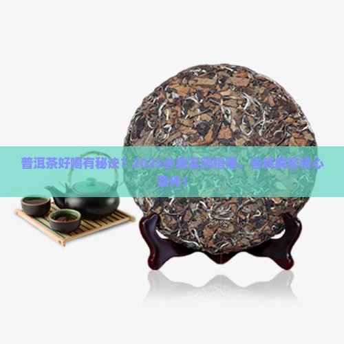 普洱茶需要具备什么条件