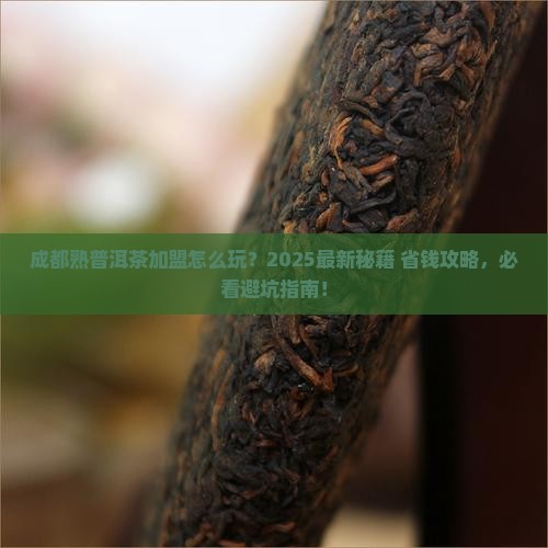 成都熟普洱茶渠道加盟条件