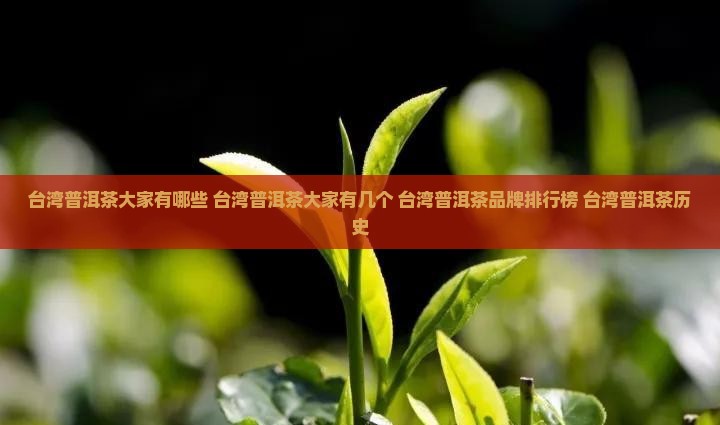 台湾普洱茶大家