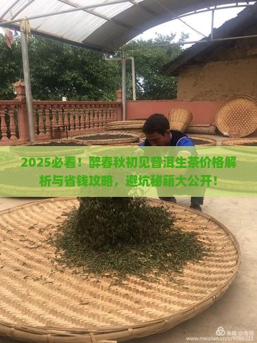 醉春秋初见普洱生茶价格
