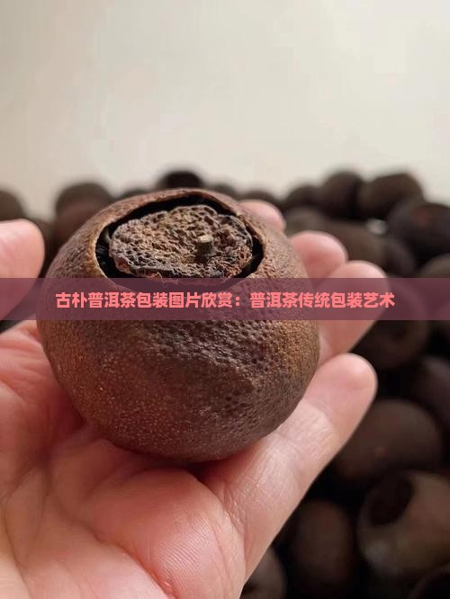 古朴普洱茶包装