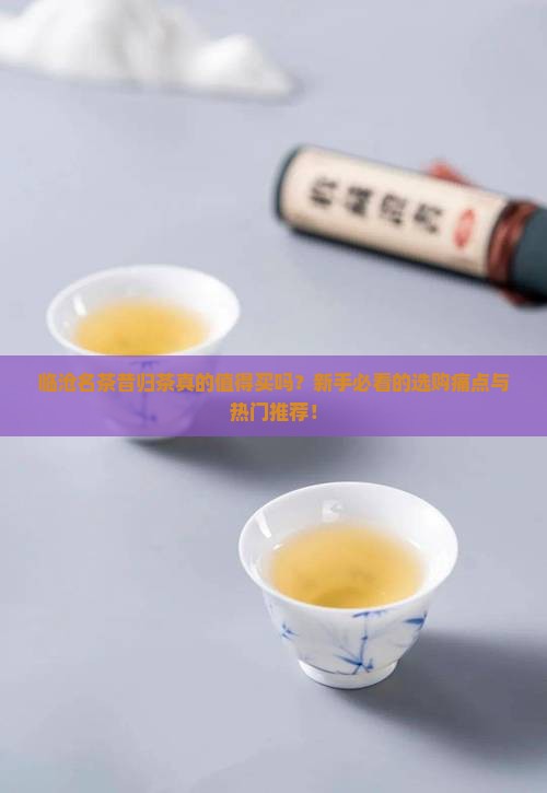 临沧名茶昔归茶
