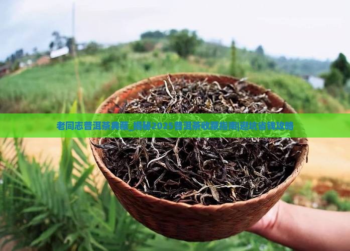 老同志普洱茶典藏