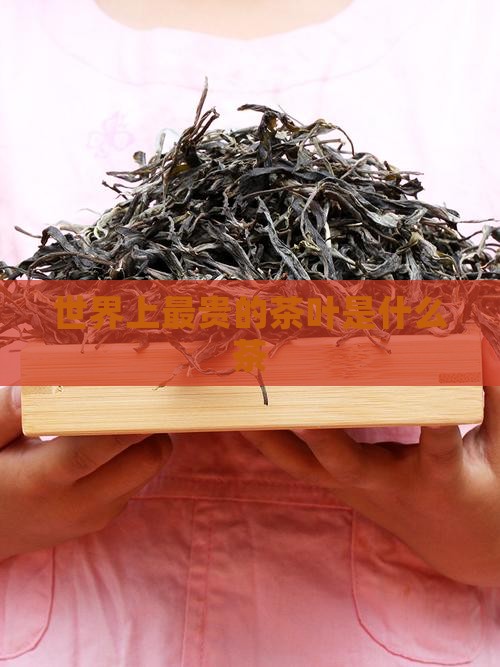 世界上最贵的茶叶是什么茶