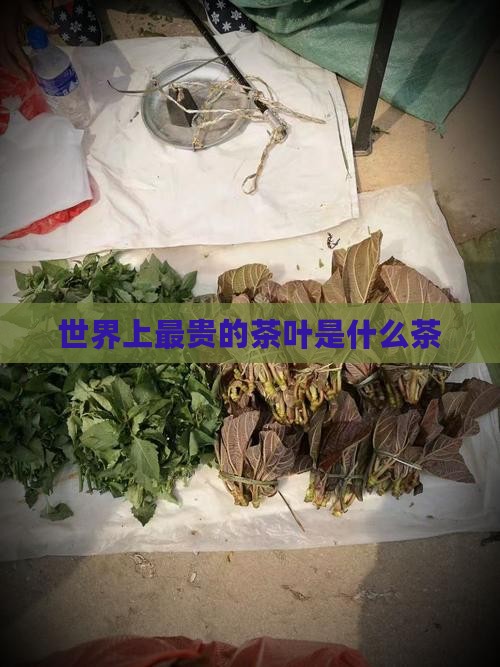 世界上最贵的茶叶是什么茶